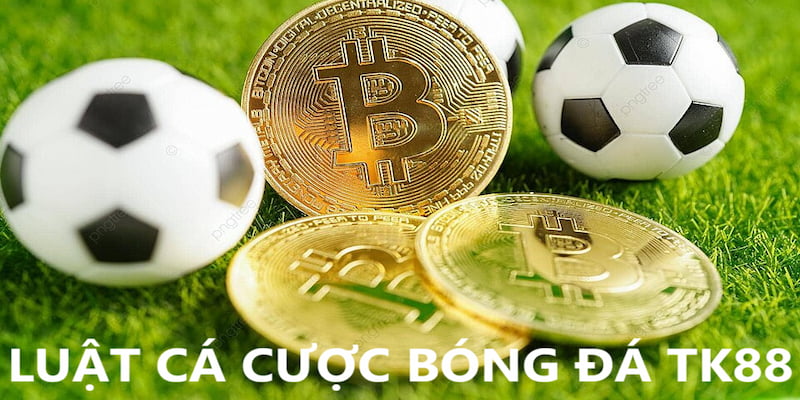 Cách cá cược bóng đá TK88 thông qua luật chơi