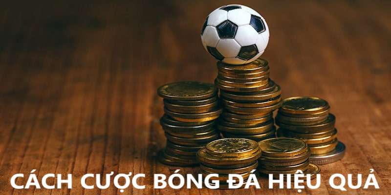 Phương thức cá độ bóng đá hiệu quả từ cao thủ lâu năm